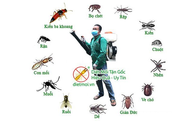 Phun thuốc diệt muỗi tại Đà Nẵng