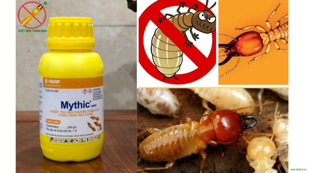Thuốc diệt mối Mythic 240SC